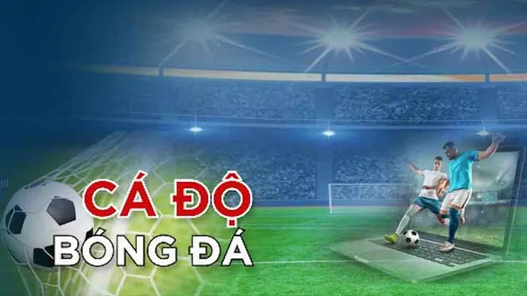 Trang Cá Độ Bóng Đá Uy Tín - Cập Nhật Tỷ Lệ Kèo Nhà Cái Mới Nhất