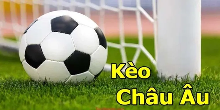 Chiến Thuật Đặt Cược Kèo Châu Âu Để Chinh Phục Lợi Nhuận Khủng Mỗi Ngày
