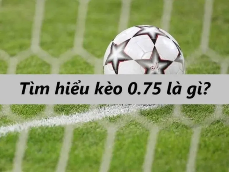 Chiến Thuật Đặt Cược Kèo Chấp 0.75 Đỉnh Cao Để Giành Chiến Thắng Lớn Mỗi Ngày