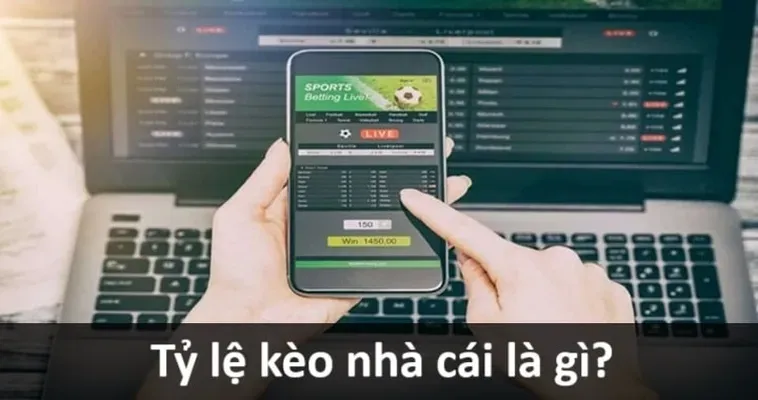 Tổng Hợp Kiến Thức Kèo Bóng Đá Đẳng Cấp Cho Người Hâm Mộ Cuồng Nhiệt