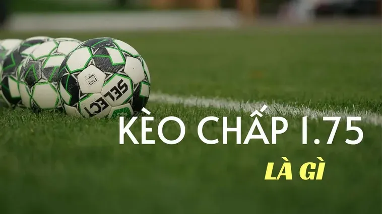 Kèo Chấp 1.75 Tuyệt Chiêu Đánh Bại Nhà Cái Với Chiến Lược Phân Tích Đỉnh Cao