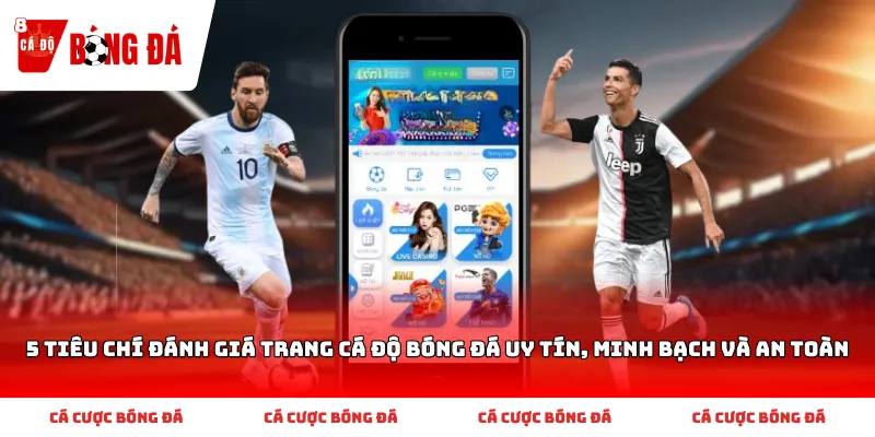 5 tiêu chí đánh giá trang cá độ bóng đá uy tín, minh bạch và an toàn