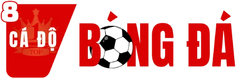 Top 8 Trang Cá Độ Bóng Đá