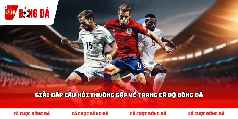 Giải đáp câu hỏi thường gặp về trang cá độ bóng đá