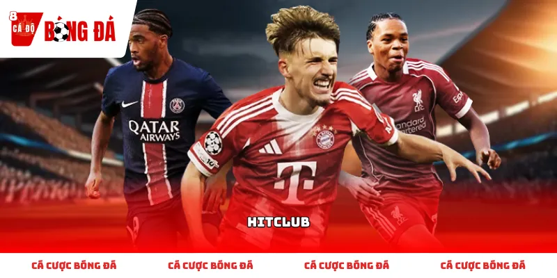 Đánh giá toàn diện các tiêu chuẩn hoạt động của HitClub