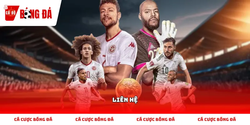 Kênh liên hệ hỗ trợ trực tuyến Trang Cá Độ Bóng Đá 8JPnet