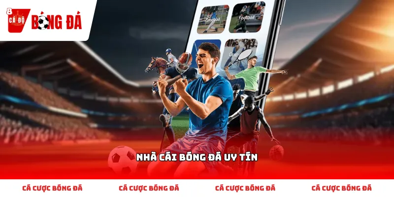 Tiêu chuẩn nhận diện nhà cái bóng đá uy tín chất lượng cao