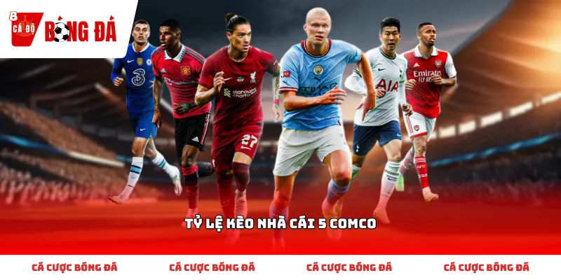 Những điều cơ bản cần biết về tỷ lệ kèo nhà cái 5 comco
